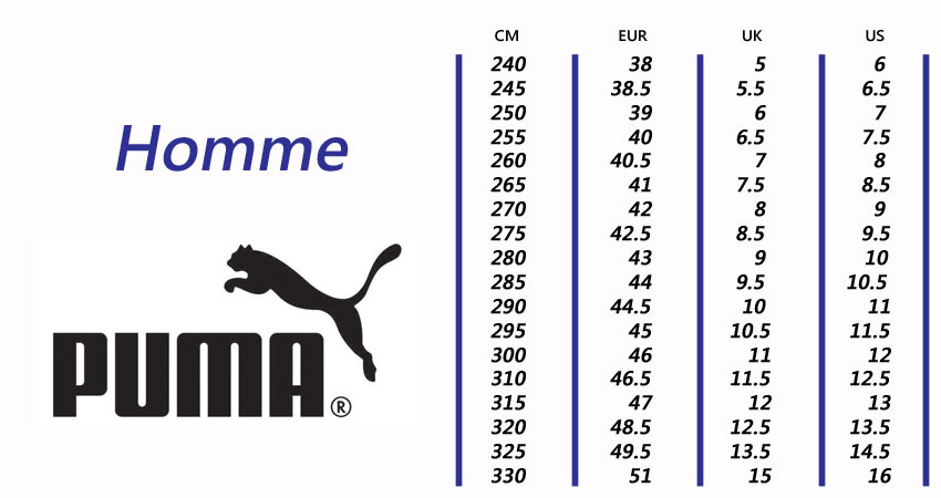 Taille puma clearance animal